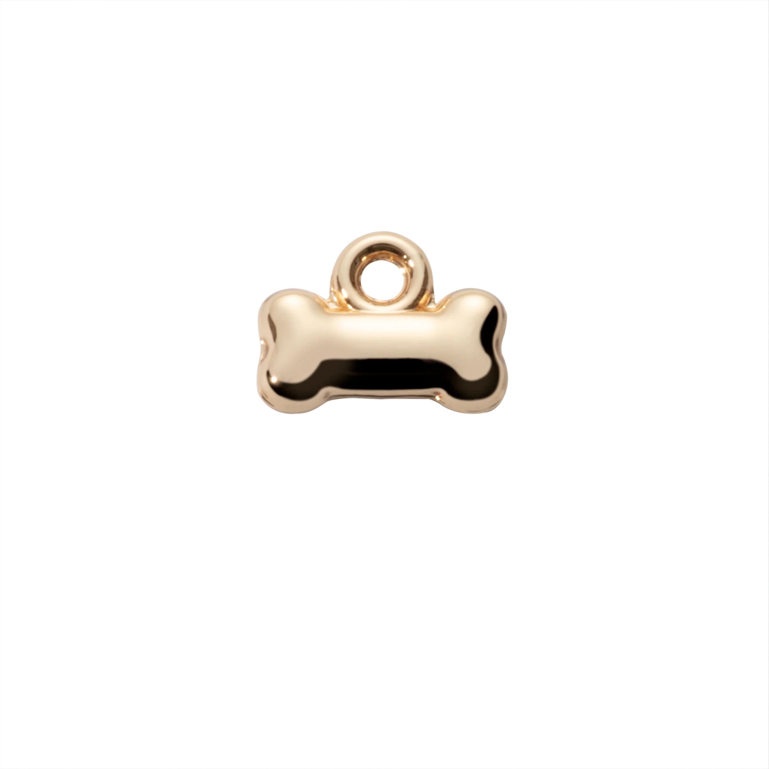 Bone Charms for Pet Tags in Silver & Gold Finish - Image 3