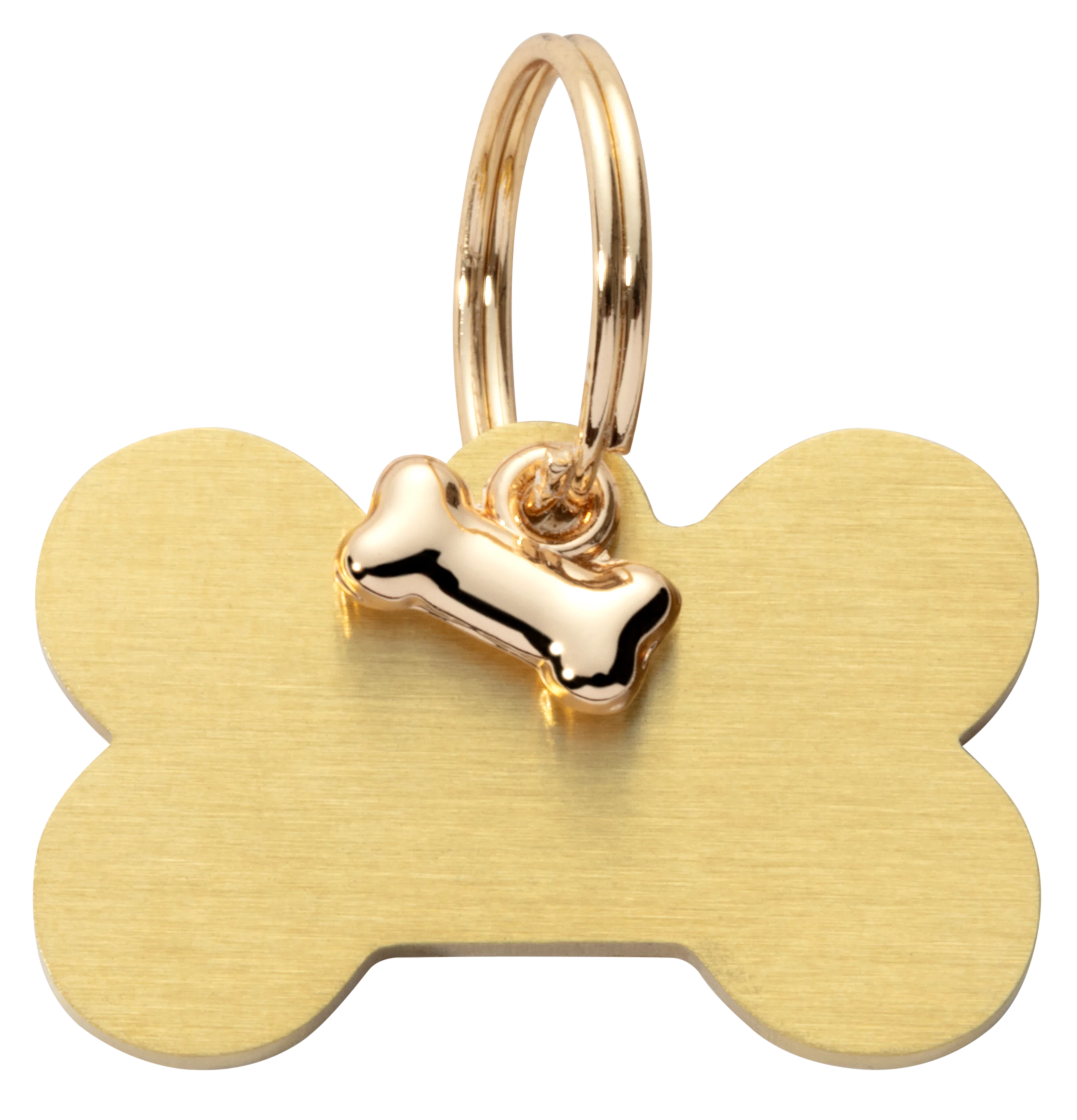 Bone Charms for Pet Tags in Silver & Gold Finish - Image 4