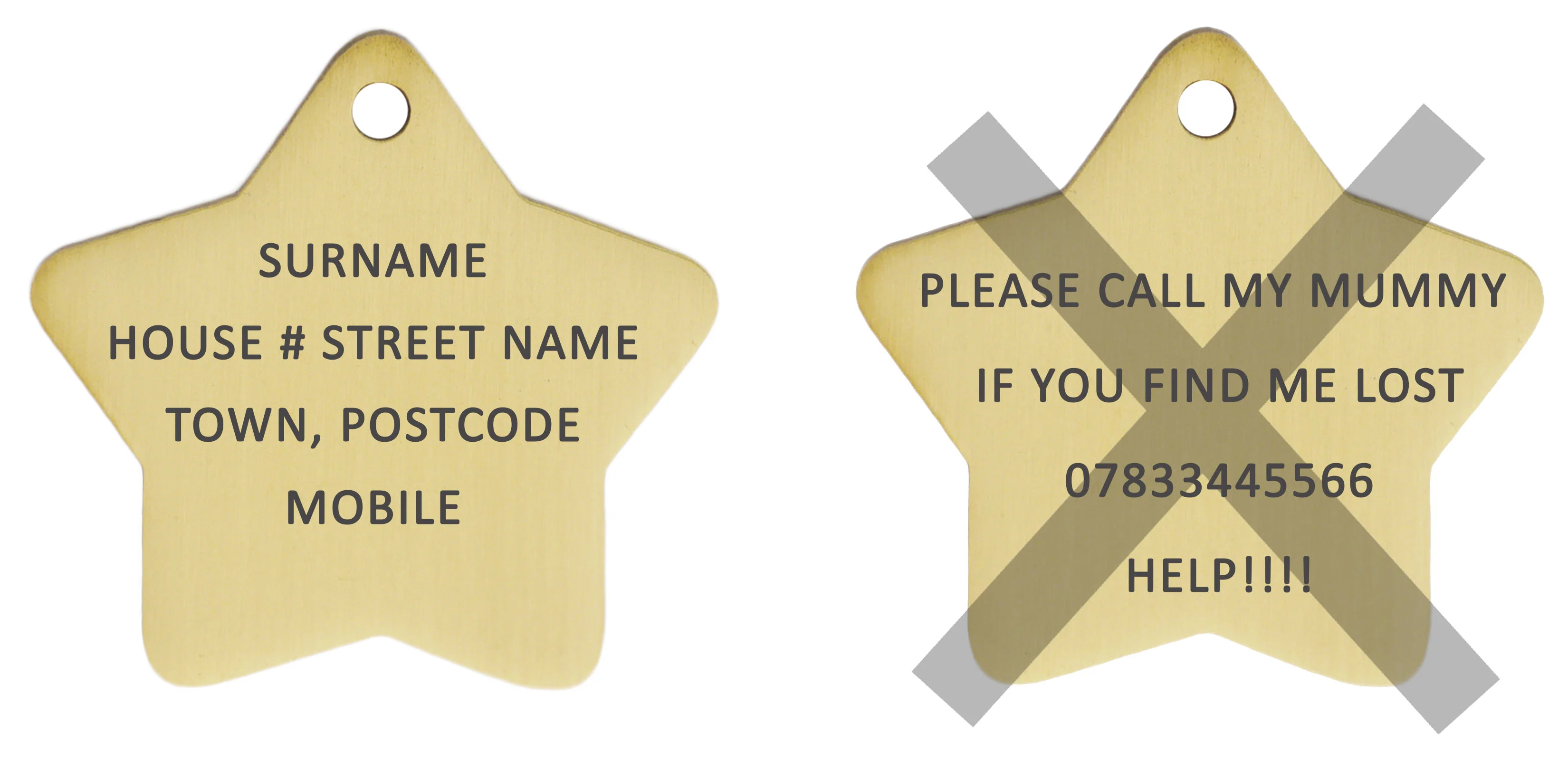 Brass Star Pets Tag - Image 3