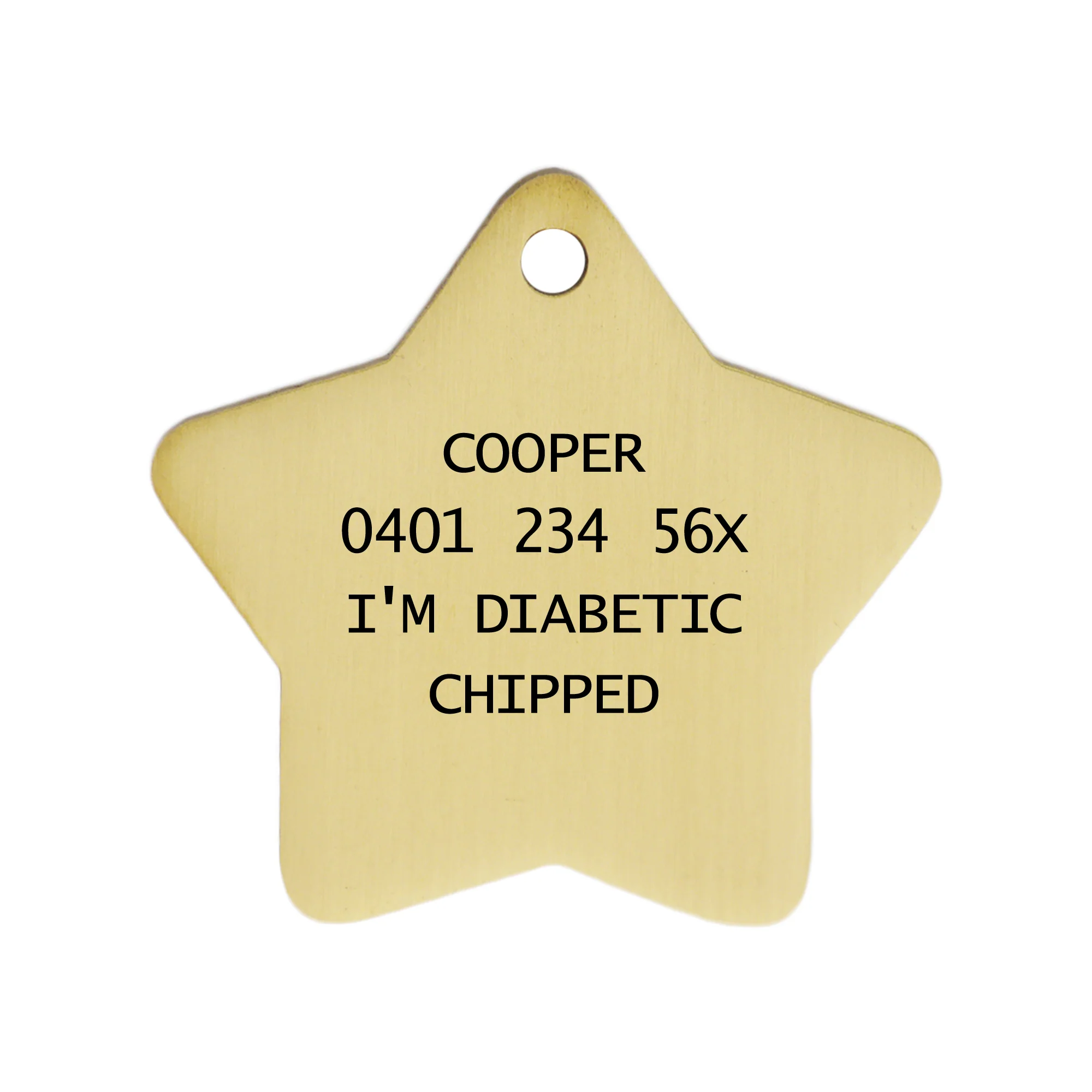 Brass Star Pets Tag - Image 4