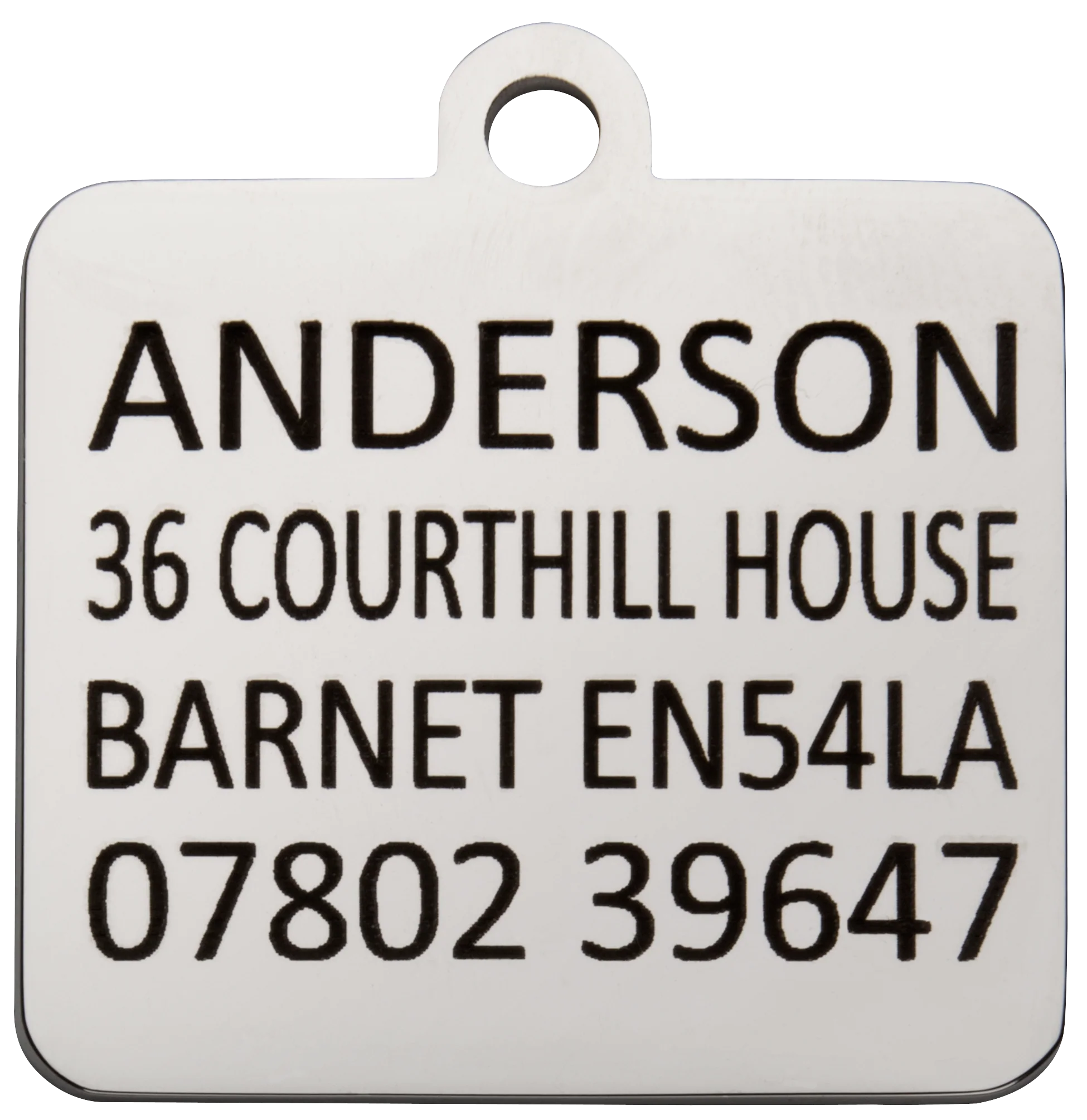 Kennel Club Blue Dog Pet Tag - Image 3