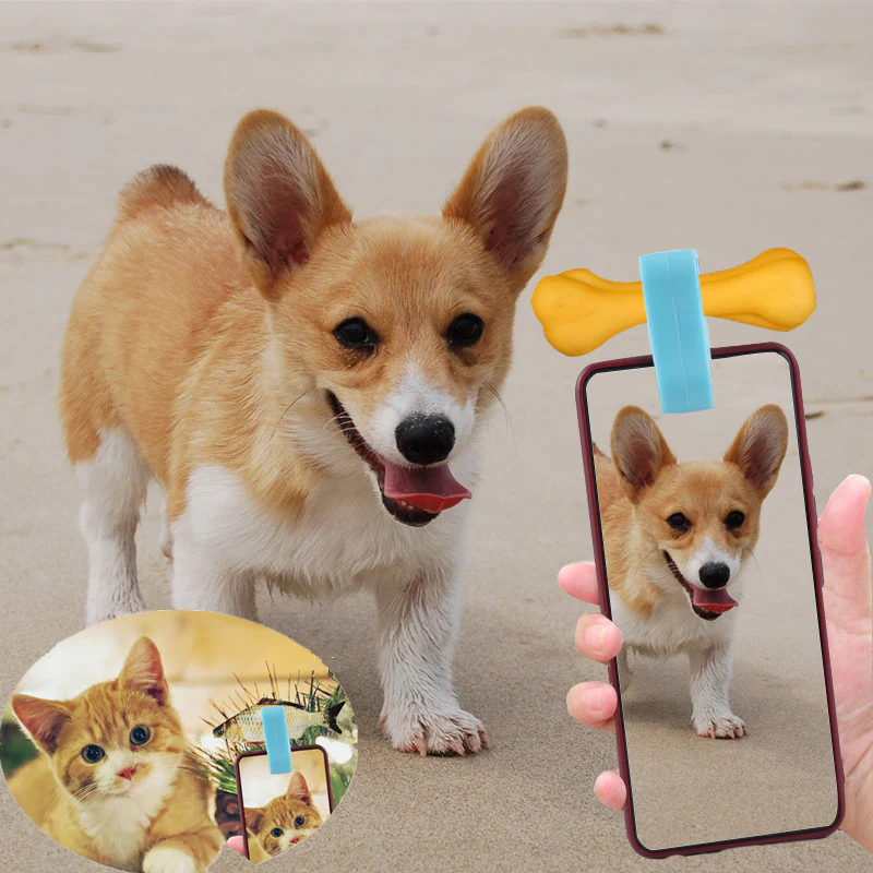 Pet Selfie Stick - Image 3