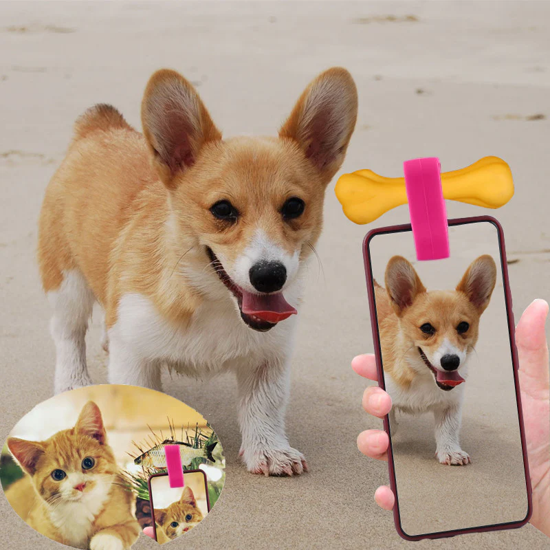 Pet Selfie Stick - Image 4